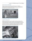 visit page 275