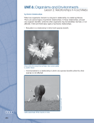 visit page 276