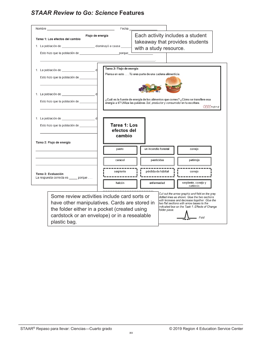STAAR Review to Go for Grade 4 Science Spanish page 16
